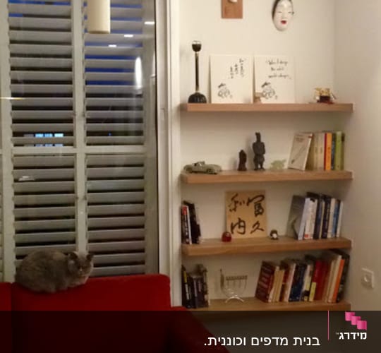 A cozy living room with red couches, bookshelves, and a cat.